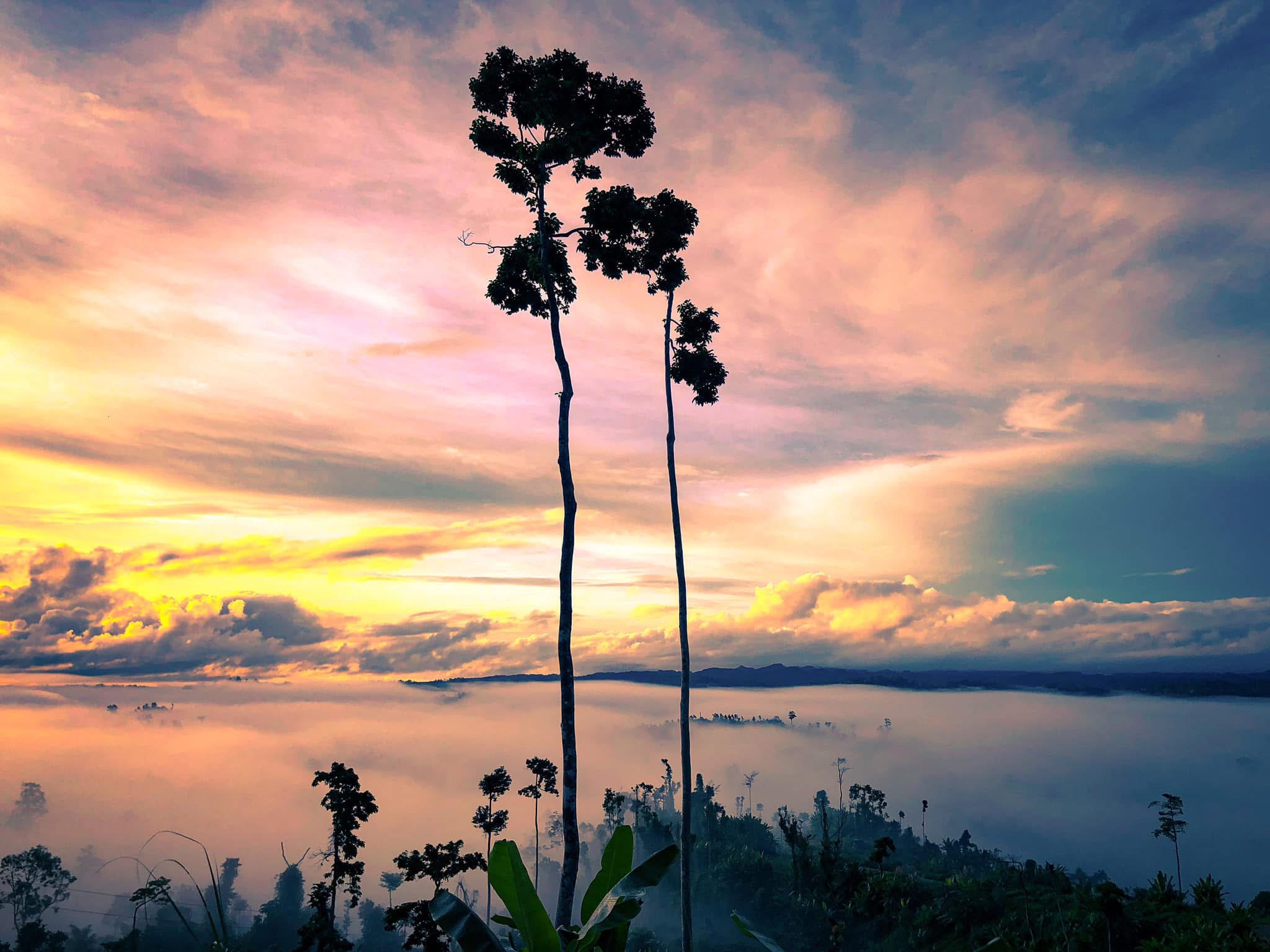 Sea of Clouds